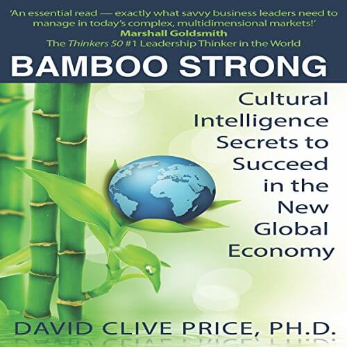 Bamboo Strong: Cultural Intelligence Secrets to Succeed in the New Global Economy